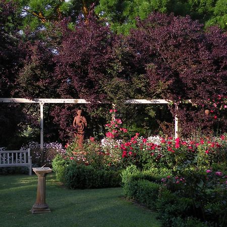 Bed and Breakfast Al Ru Farm One Tree Hill Esterno foto