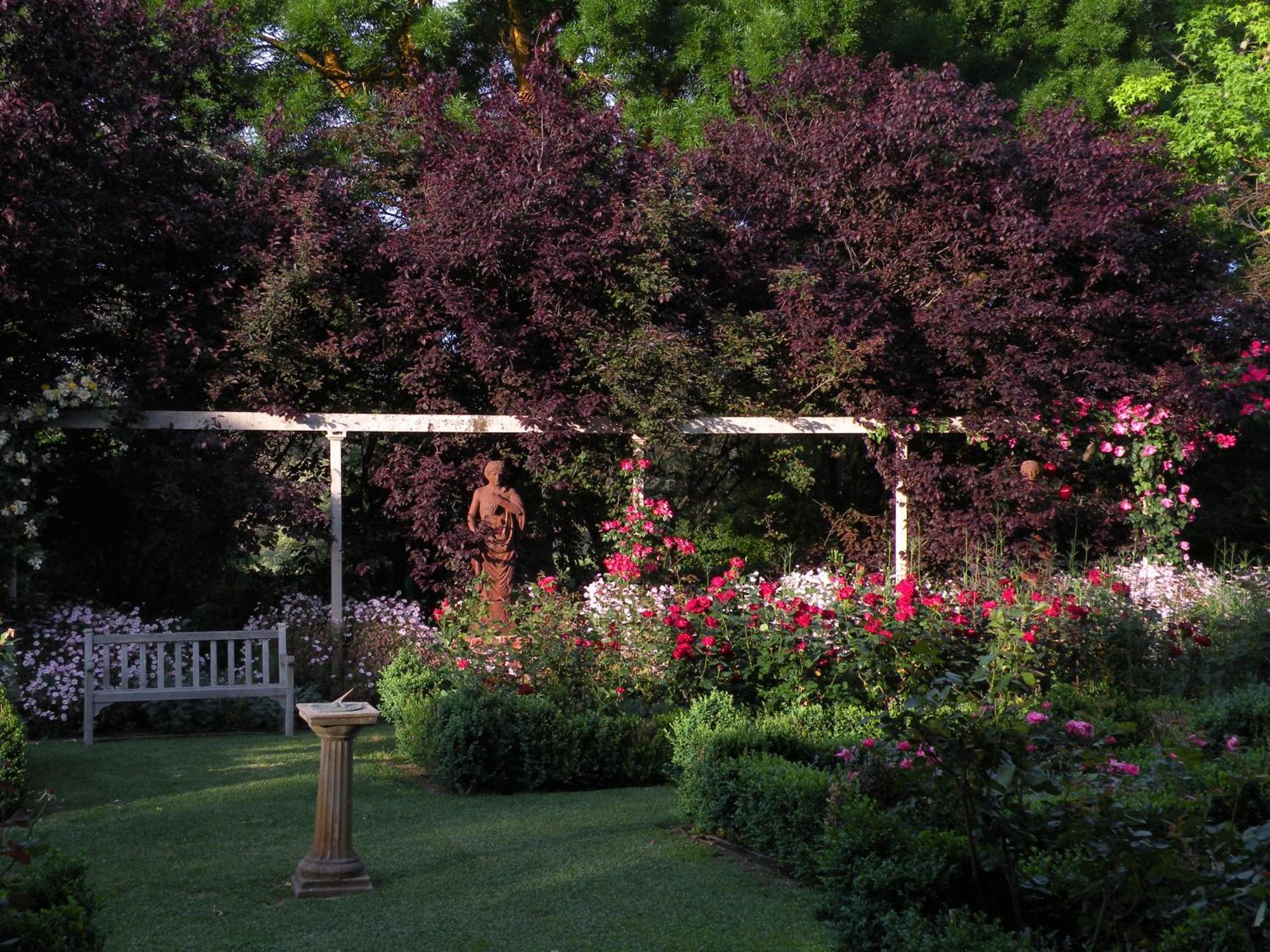 Bed and Breakfast Al Ru Farm One Tree Hill Esterno foto
