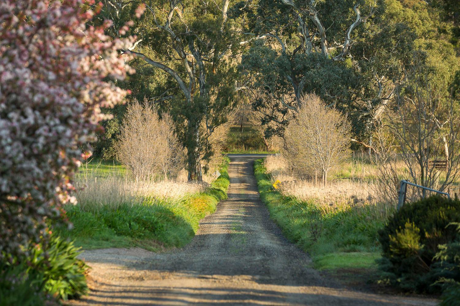 Bed and Breakfast Al Ru Farm One Tree Hill Esterno foto