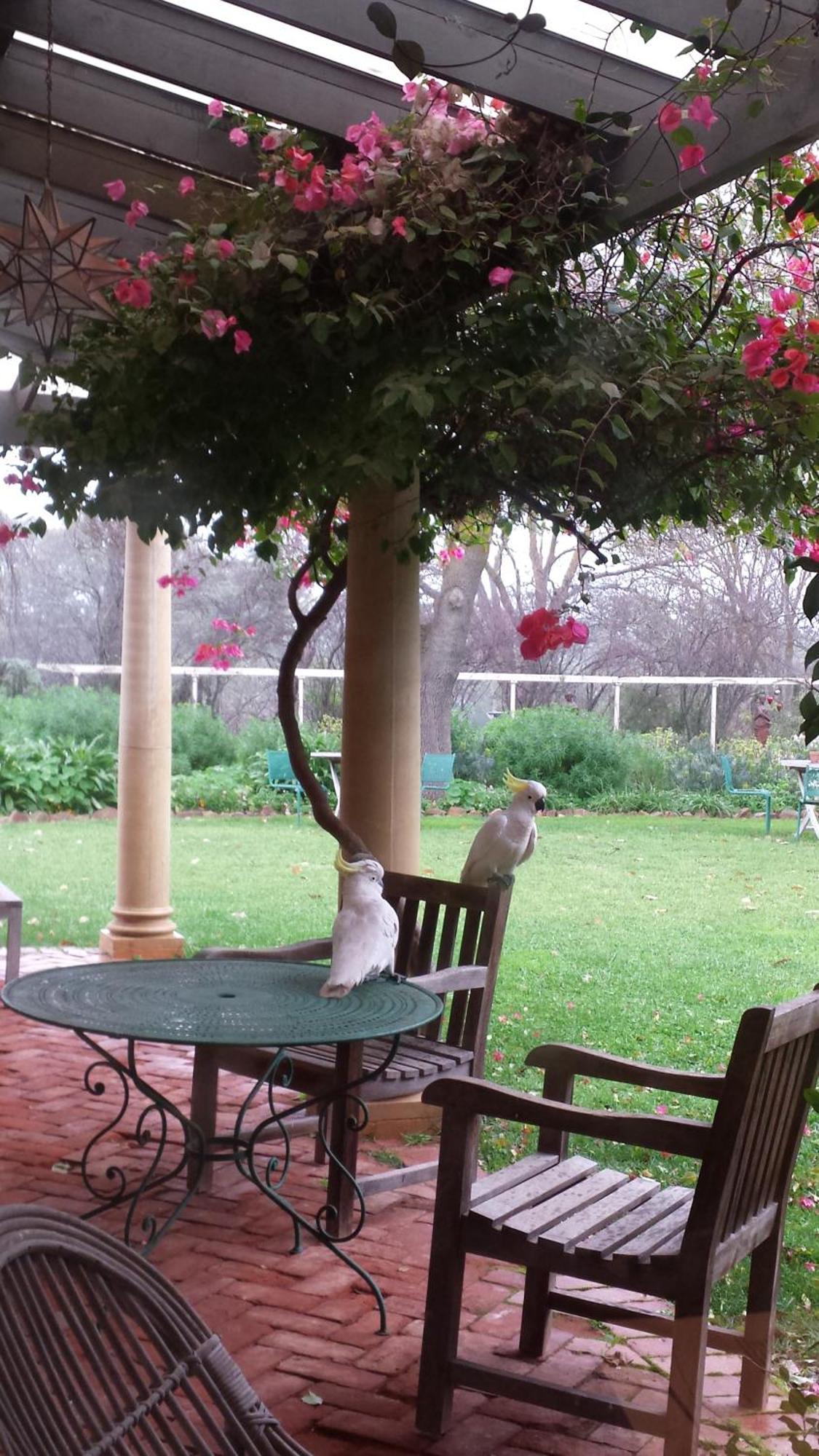 Bed and Breakfast Al Ru Farm One Tree Hill Esterno foto