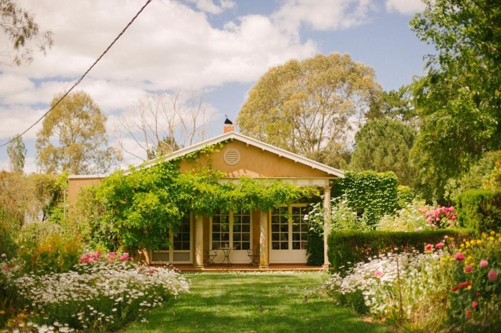 Bed and Breakfast Al Ru Farm One Tree Hill Esterno foto
