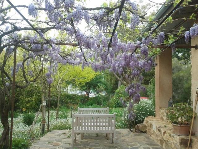 Bed and Breakfast Al Ru Farm One Tree Hill Esterno foto