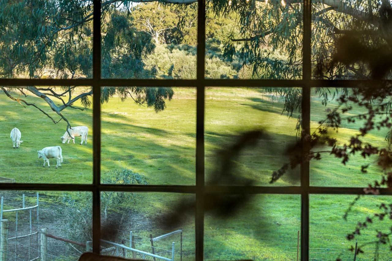 Bed and Breakfast Al Ru Farm One Tree Hill Esterno foto